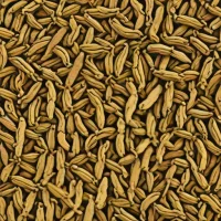 Dried Valerian Root
