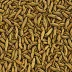 Dried Valerian Root