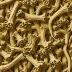 Dried Angelica Root