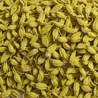 Dried Lemon Savory