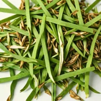 Dried Ramp (Wild Leek)