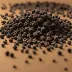 Dried Elderberry