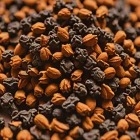 Dried Spicebush Berry