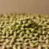 Dried Moringa Seed