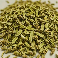 Dried Costmary