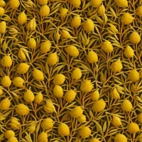 Dried Citrus Myrtle