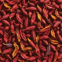 Dried Riberry