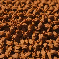 Dried Akudjura (Bush Tomato)