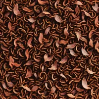 Dried Dulse Flakes