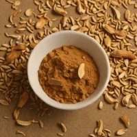 Dried Porcini Powder