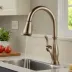 Delta Leland Kitchen Faucet