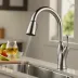 Delta Zella Kitchen Faucet
