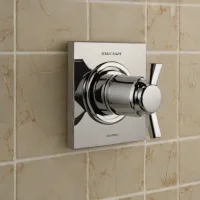 Delta Monitor 17T Series Shower Valve