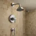 Delta HydroRain Shower System