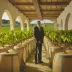 Domaine Patrick Javillier