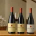 Domaine de Montille
