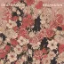 Deafheaven - Ordinary Corrupt Human Love