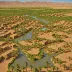 Draa Valley Oases