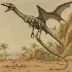 Dimorphodon macronyx