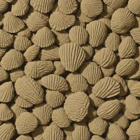 Dunbarella papyracea