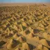 Dunhuang Yardang National Geopark