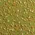 Dash Garlic & Herb Seasoning Blend