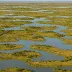 Doñana National Park (Marismas)