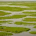 Djoudj National Bird Sanctuary