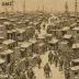 DMZ Colony