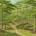 Dunkery and Horner Wood