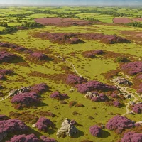 Danby High Moor