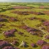 Danby High Moor