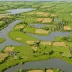 Dartford Marshes