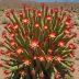Desert Christmas Cactus (Cylindropuntia leptocaulis)