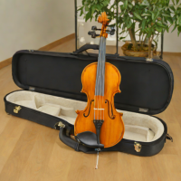 DAngelico Student Violin Outfit