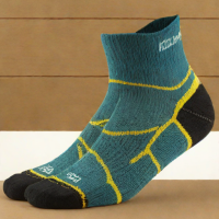 Darn Tough Vermont Run No Show Cushion