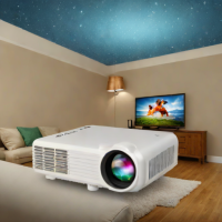 Dr. J Professional P280