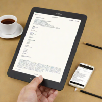 Dasung Paperlike 250