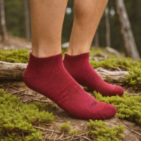 Darn Tough Vermont Micropad No-Show Tab Socks