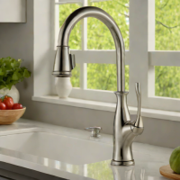 Delta Kitchen Faucet with Diamond Seal