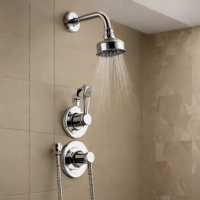 Delta Faucet Essa Shower System