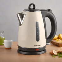 Dash Electric Kettle