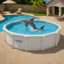 Dolphin Above Ground Pool