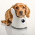 Dormy Pet Camera