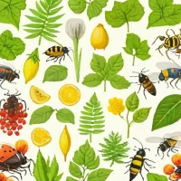 Drawdown: Biodiversity