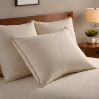DreamCloud Pillow