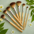 EcoTools Start the Day Beautifully Brush Set