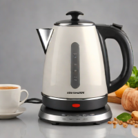 Electric Kettle (Stove-Top Style)