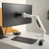 Ergotron LX Monitor Arm