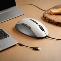 Evoluent VerticalMouse 4